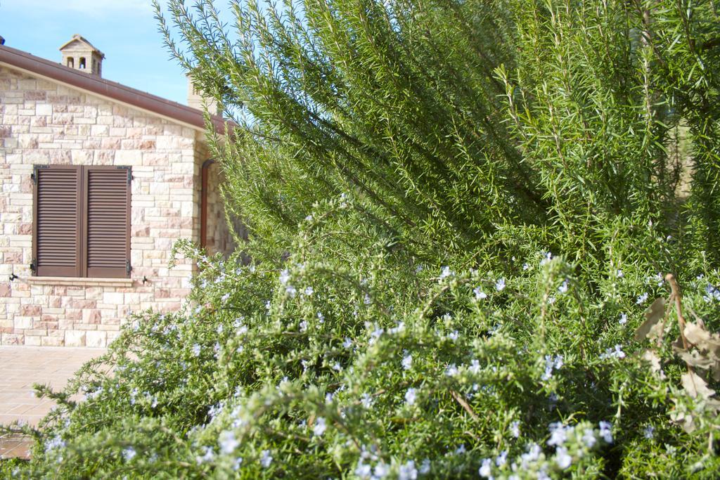 B&B Lavanda E Rosmarino Ασίζη Εξωτερικό φωτογραφία