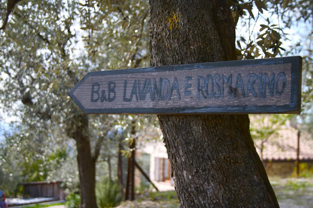 B&B Lavanda E Rosmarino Ασίζη Εξωτερικό φωτογραφία