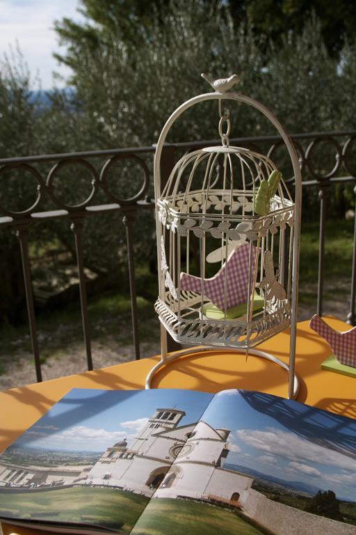B&B Lavanda E Rosmarino Ασίζη Εξωτερικό φωτογραφία