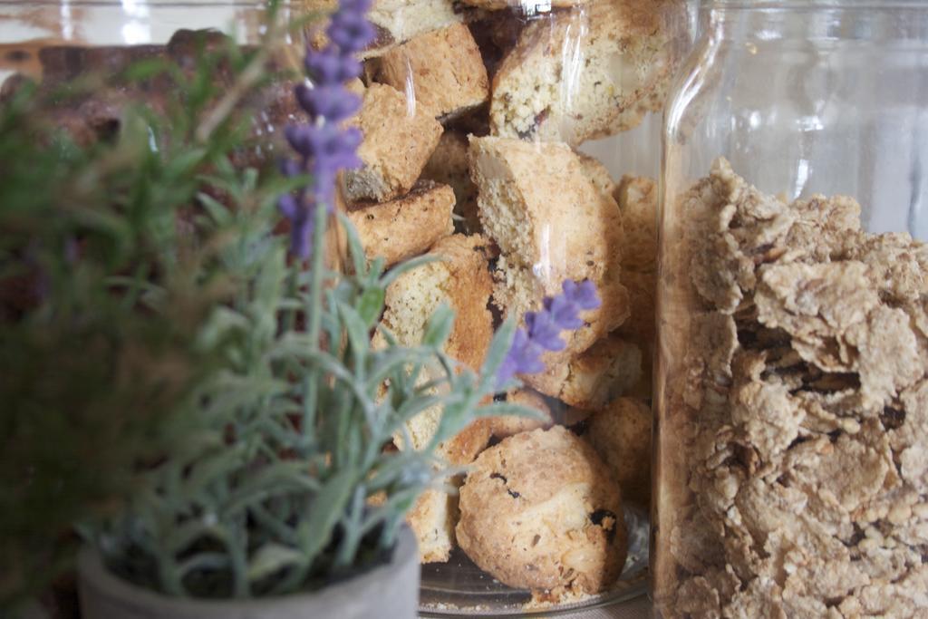 B&B Lavanda E Rosmarino Ασίζη Εξωτερικό φωτογραφία