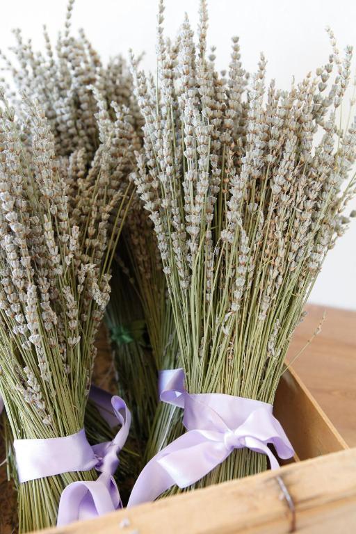 B&B Lavanda E Rosmarino Ασίζη Εξωτερικό φωτογραφία