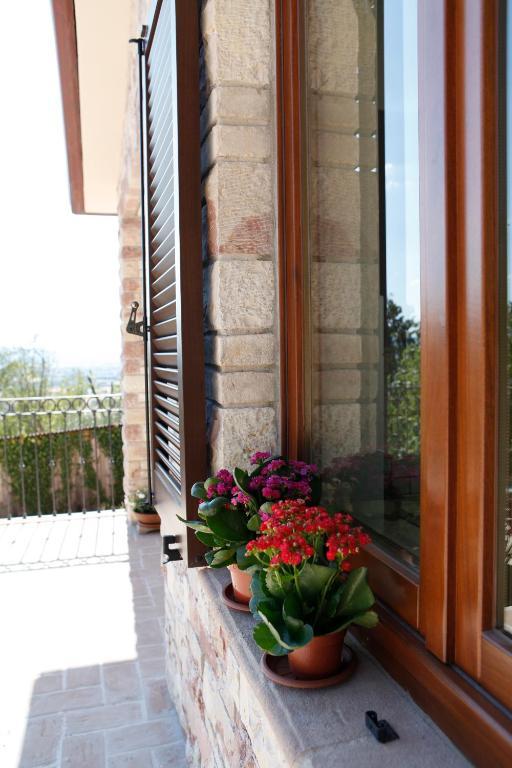 B&B Lavanda E Rosmarino Ασίζη Εξωτερικό φωτογραφία