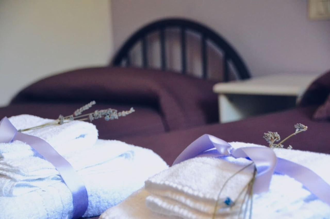 B&B Lavanda E Rosmarino Ασίζη Εξωτερικό φωτογραφία