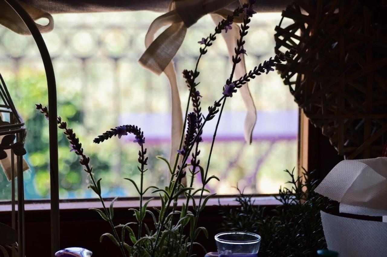 B&B Lavanda E Rosmarino Ασίζη Εξωτερικό φωτογραφία